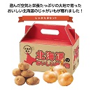 北海道　じゃがたま1kgセット