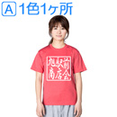 ≪名入れ1色1ヶ所プリント代込≫ ドライTシャツ 00300-ACT