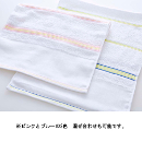 220匁コスモライン柄のし名入…