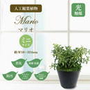 [ササガワ] 人工観葉植物 マリオ(ミニサイズ)