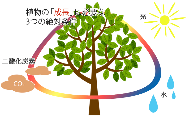 植物が生長する為の三大要素とは