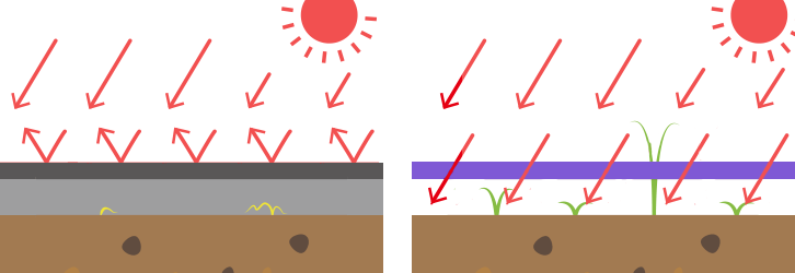 遮光率の差による防草性能のイメージ