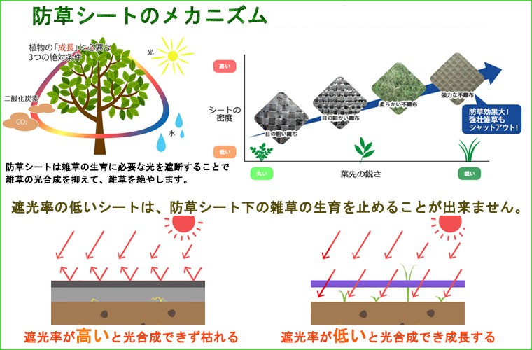 防草シート解説