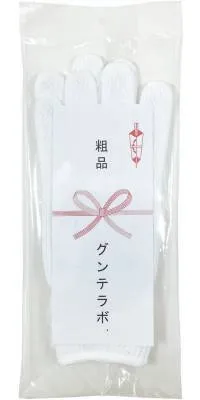 熨斗紙入包装(定型サイズの熨斗紙入り）