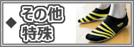 その他特殊シューズ
