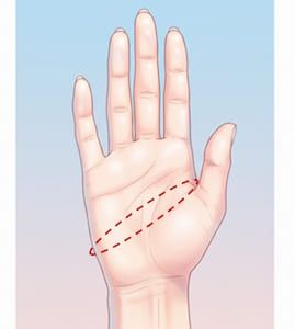手のサイズを図る位置（手囲い）